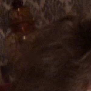 Meet your Posher, Alec